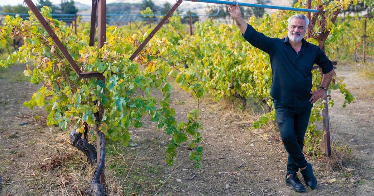 Wineries Near Chania: The Two Clusters and What to Taste