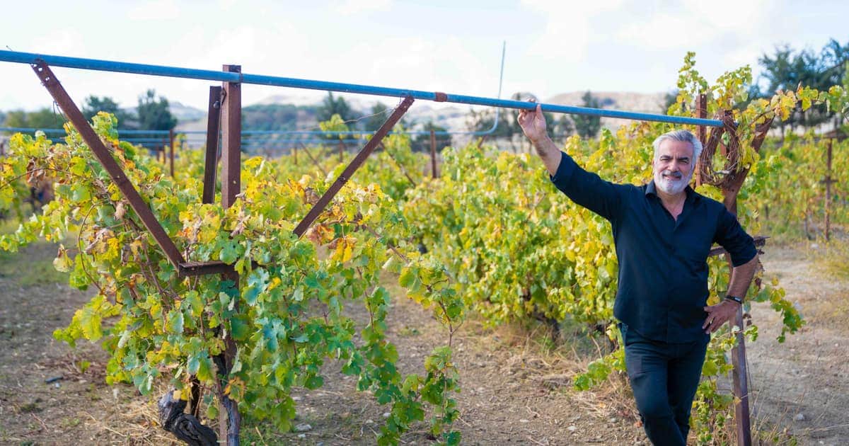 Heraklion Wine Tours 2026: Peza, Archanes & Dafnes from €15