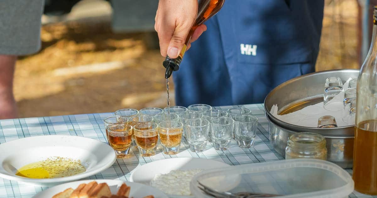 Best Wine Tours in Crete 2026: Compared from €15 to €160