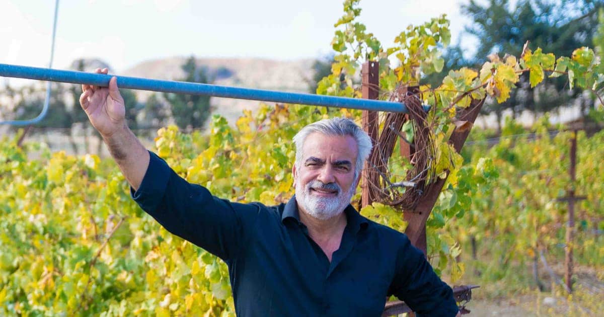 Best Wine Tasting in Crete (2026): Wineries from €15