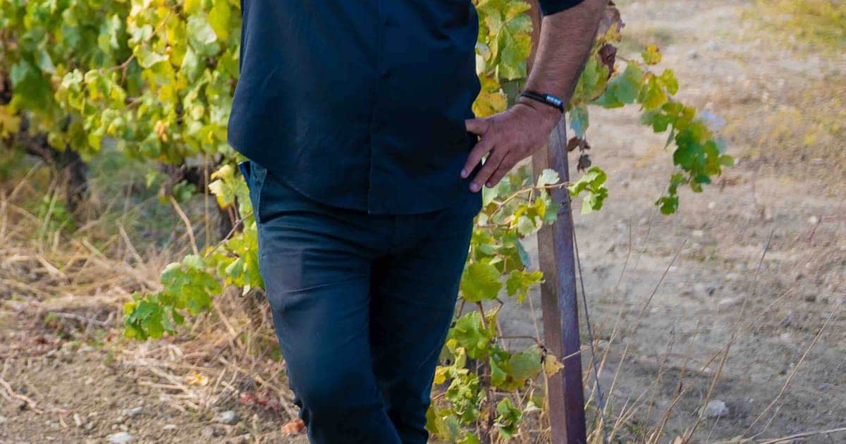Vidiano Wine: A Guide to Crete's Flagship White Grape